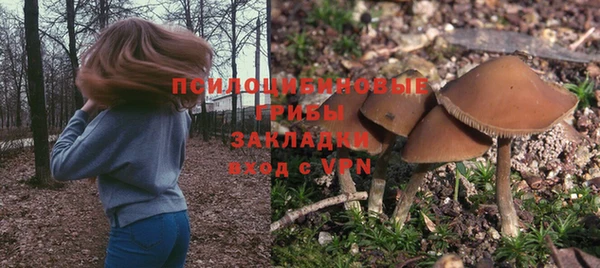 стафф Баксан