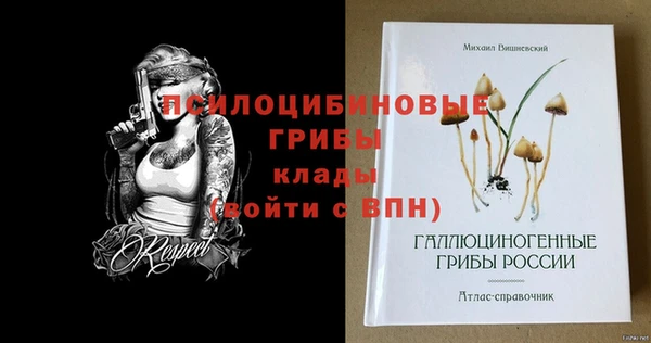 хмурый Балахна