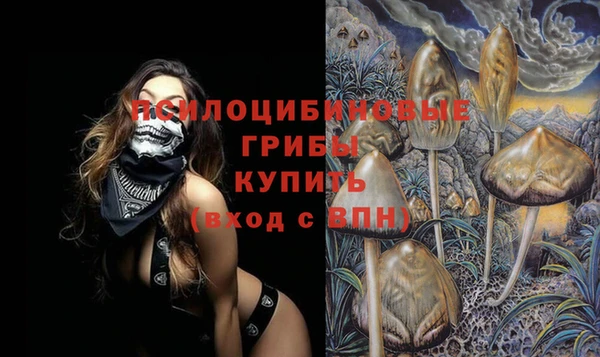 хмурый Балахна