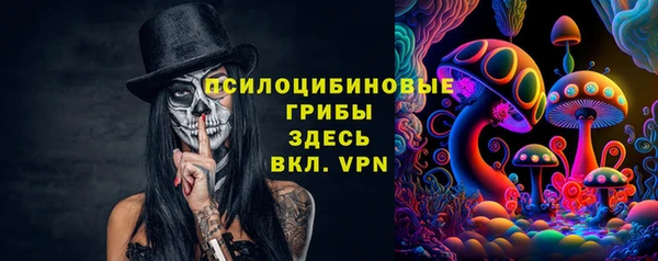стафф Баксан